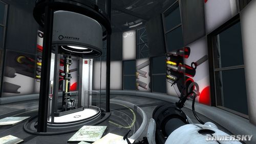 T2